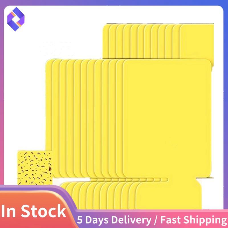 24 Chiếc Trong Nhà Cắm Bẫy Bay Nạp Lại Thẻ Keo Hai Mặt Dính Bẫy Nạp Lại Bộ