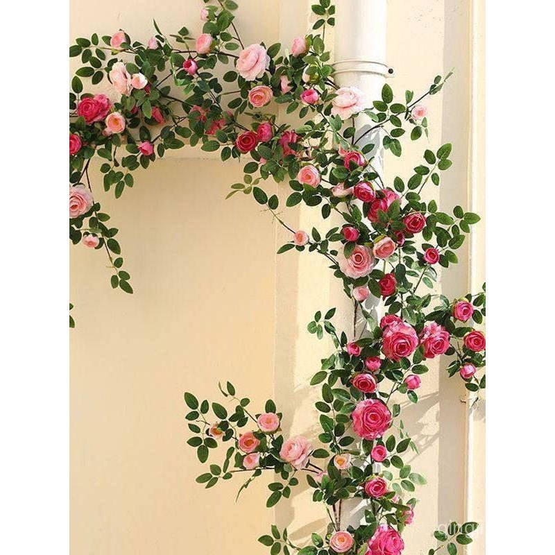Vòm Hoa Nhân Tạo Hoa Mẫu Đơn Hoa Mây Cửa Đầu Nền Trang Trí Tường Cảnh Quan Ống Cuộn Dây Khối Vine Ho