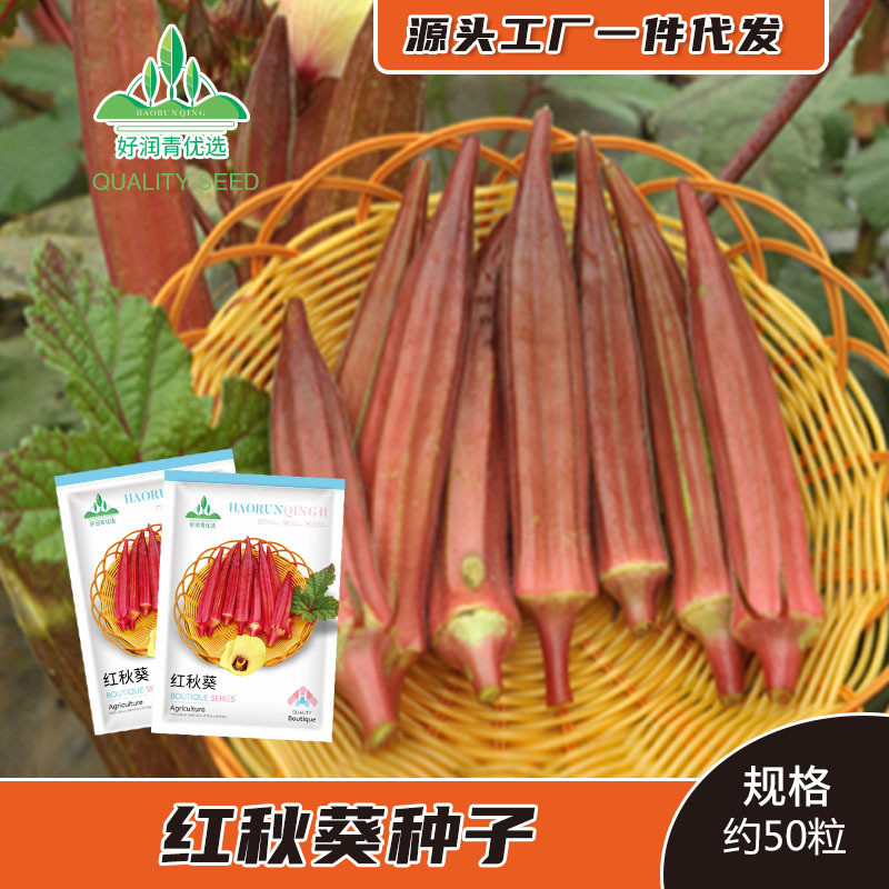 Bán Buôn Hạt Giống Okra Đỏ Ngũ Giác Đài Đậu Móng Vuốt Đậu Trái Cây Hạt Okara Mùa Xuân Mùa Hè Thu Sân