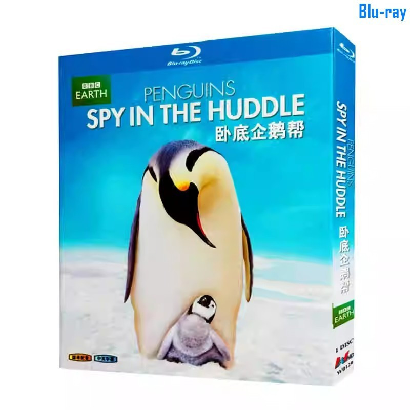 [BLU-RAY DISC SEALED] Phim tài liệu ‎BBC Penguins: Spy in the Huddle (2012) 1-Disc Đóng hộp hoàn toà