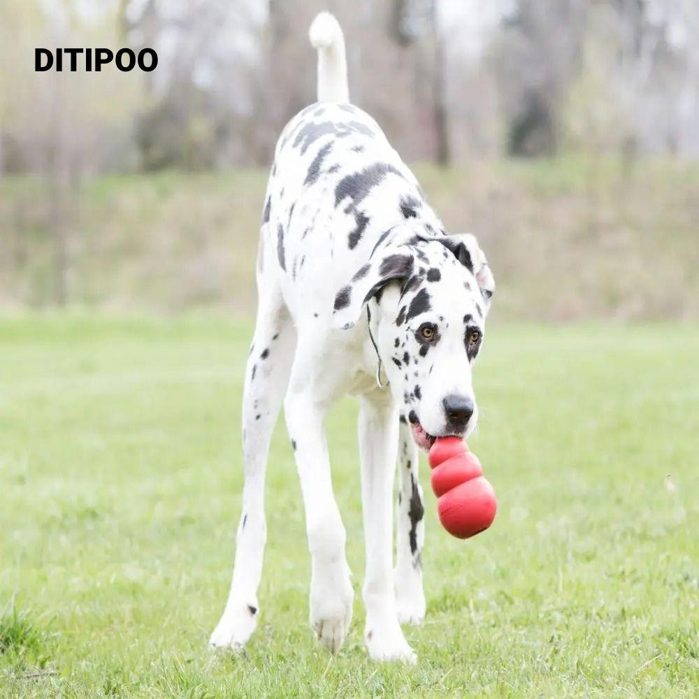 Đồ chơi chó con DITIPOO Kong, Khả năng điều trị đầy đủ Đồ chơi chó Kong Erratic Bounce, Đồ chơi nhồi