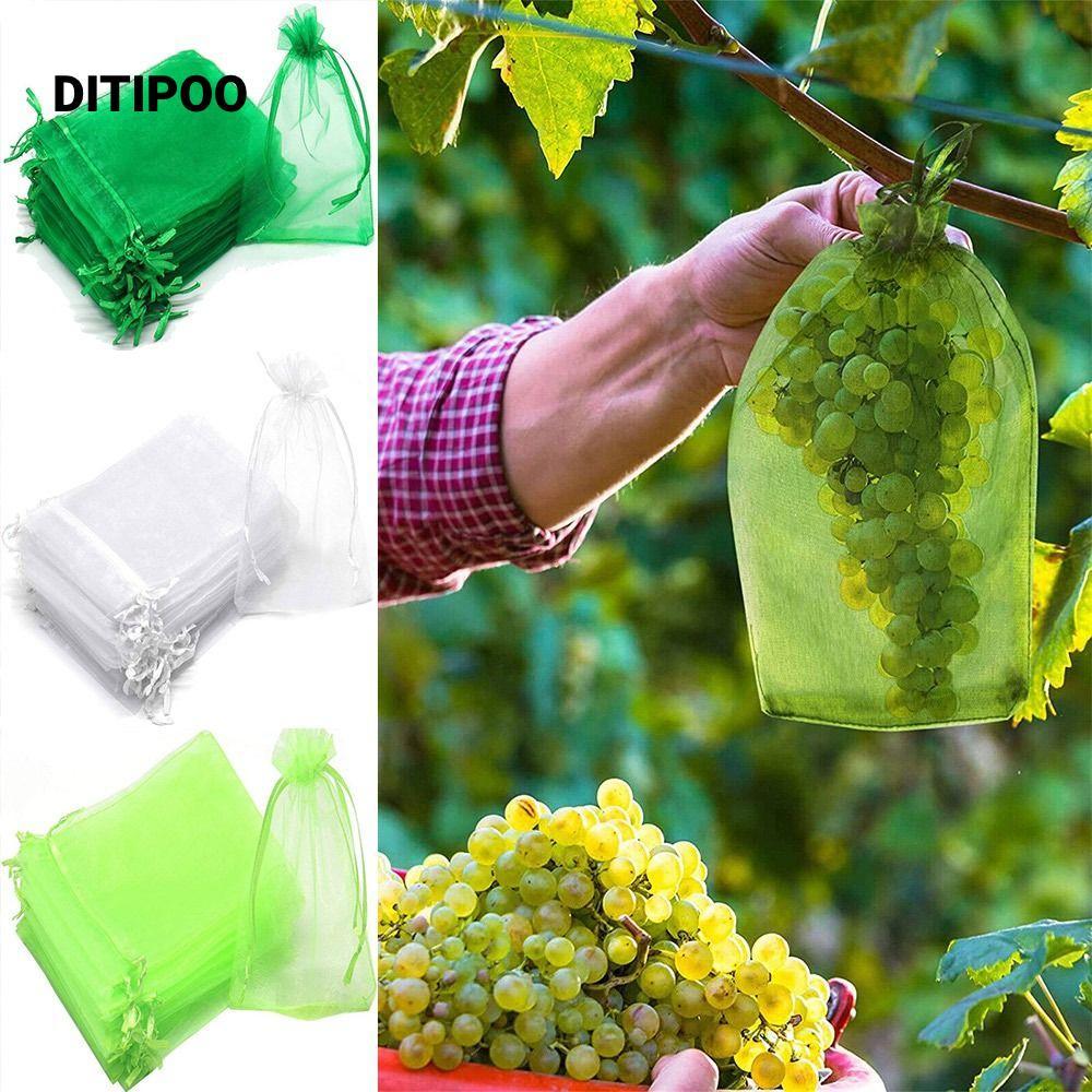 Ditipoo 30 Chiếc Túi Trái Cây Kiểm Soát Dịch Hại Dụng Cụ Làm Vườn Người Trồng Túi Bảo Vệ Thực Vật Ho