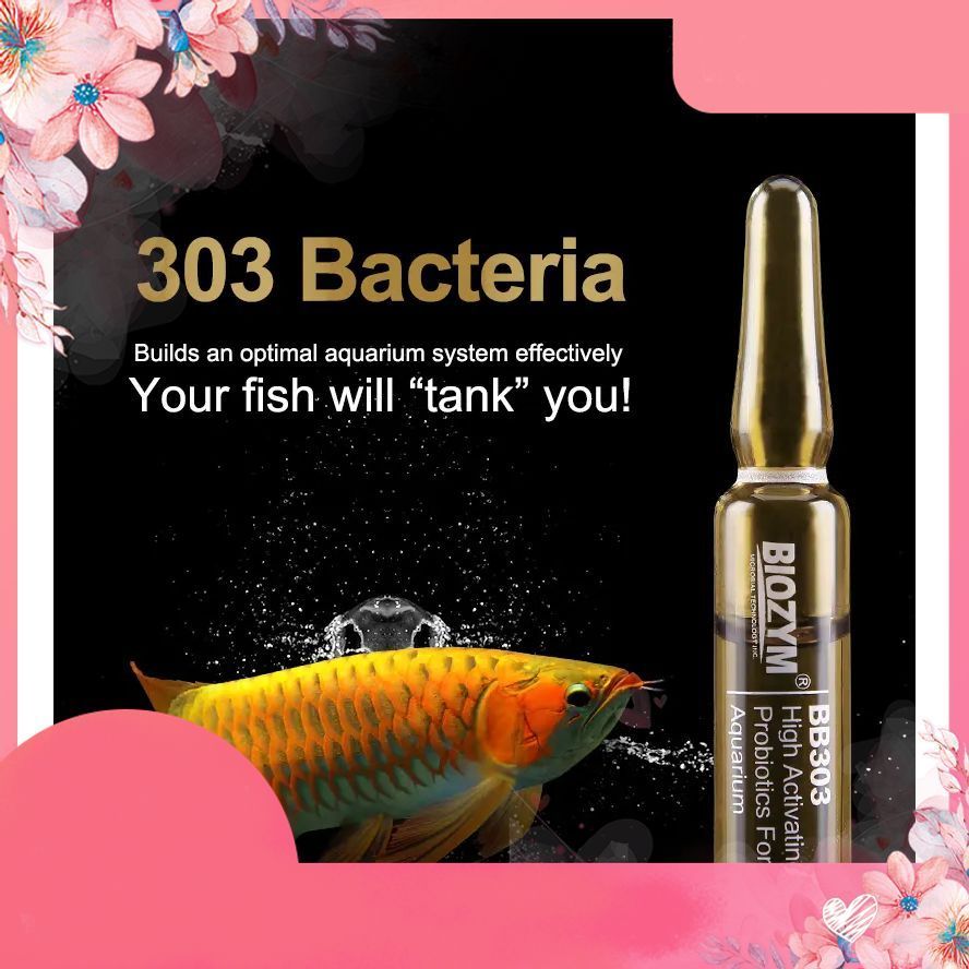 Biozym 303 Bacteria – Vi sinh sống mạnh khử độc, phân huỷ chất thải nhanh cho hồ thuỷ sinh .namaquat