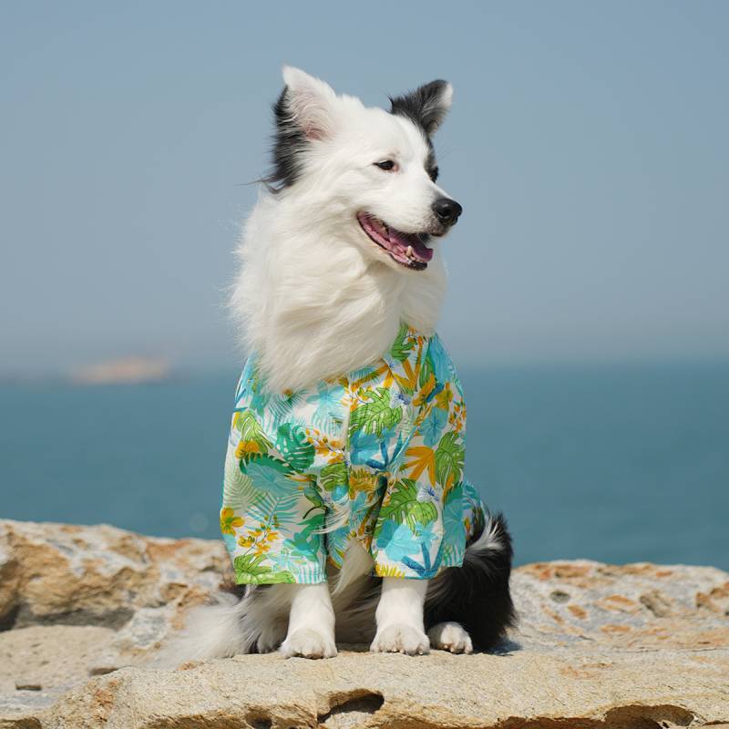 Dog Hawaiian Shirt Vacation Style Beach Shirt Dog Clothes Spring and Summer Thin Shiba Inu Golden Re