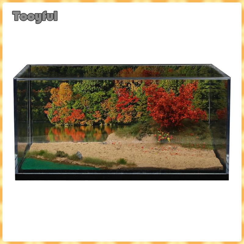 Cảnh 1: 64 Lakeside Riverside có hộp trưng bày Bố trí bàn cát nền