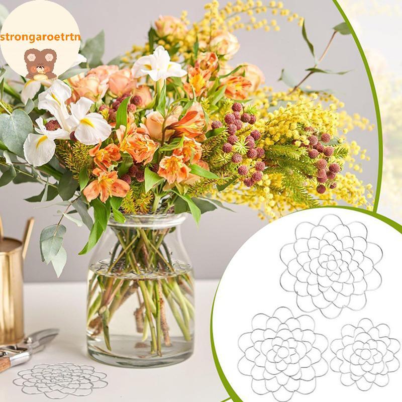 Strongaroetrtn Xoắn Ốc Ikebana Thân Giá Đỡ Xoắn Ốc Ikebana Thân Cây Cho Bình Hoa Sắp Xếp Giá Đỡ Thân