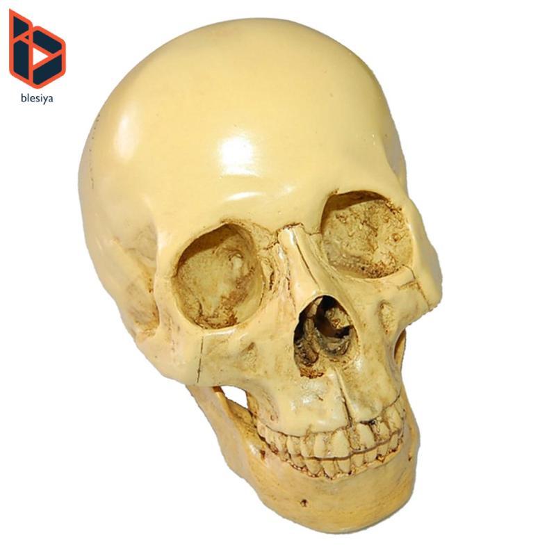 Blesiya Design Resin Human Skull 1: 1 Mô hình đầu bộ xương mô hình