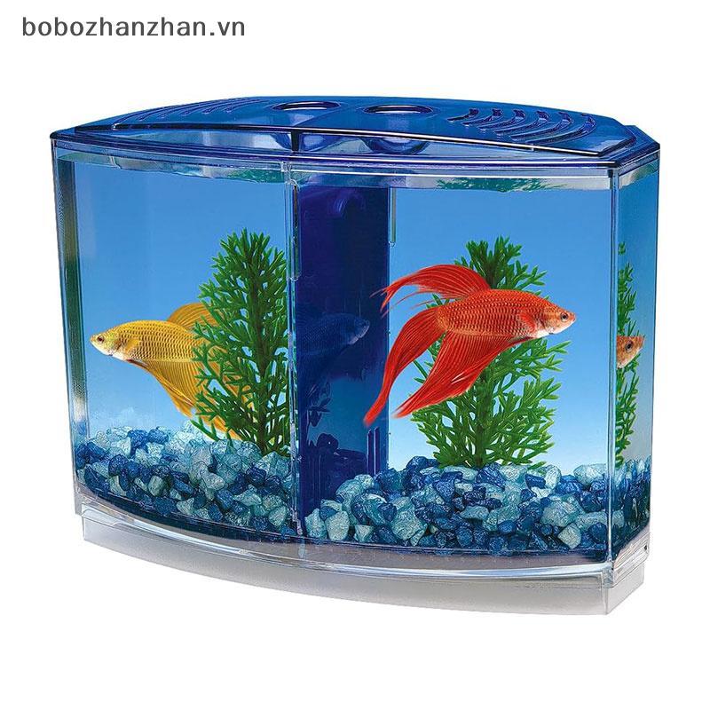 [bobozhanzhan.vn] Hộp cá chiến đấu đôi lớn Eco Rumble Fish Aquarium Mini Aquarium Hộp cách ly bằng n