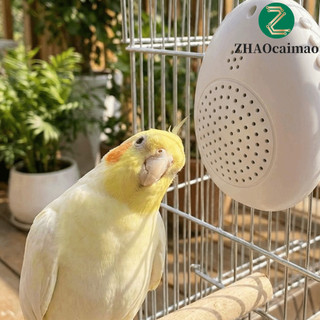 Máy học chim ZHAOCAIMAO, Ghi âm Playback Vẹt dạy nói, Hẹn giờ di động Điều khiển đa đoạn Nguồn âm thanh Máy tập nói tương tác