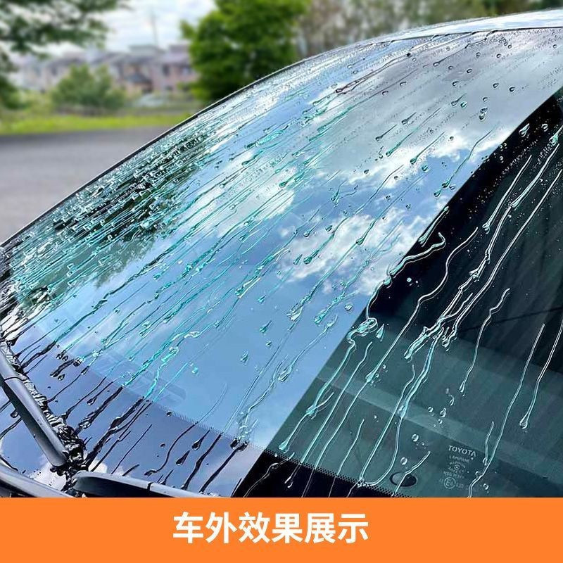 SOFT99 Big Head Type Rain Enemy