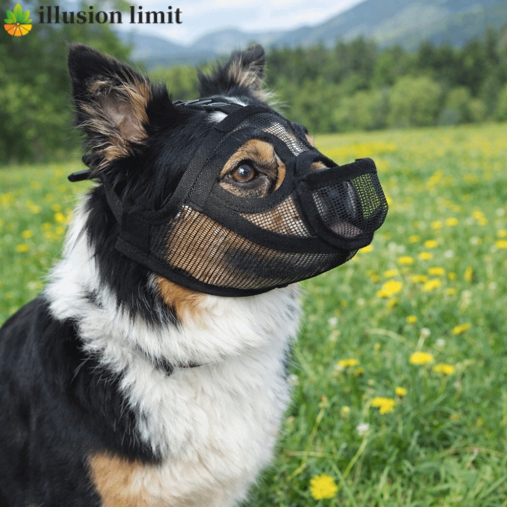 ILLUSION LIMIT Dog Muzzle Thoáng khí Universal Stop Barking