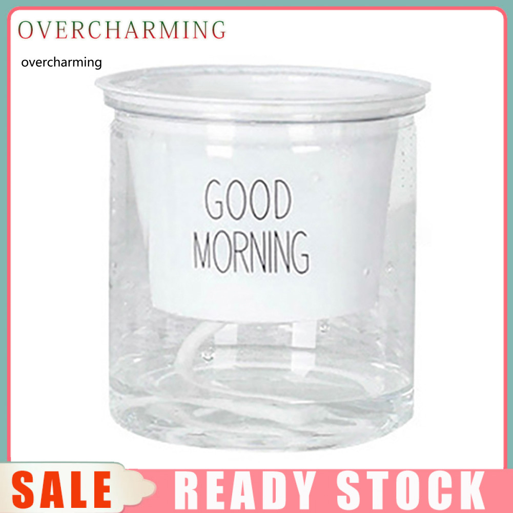 2 Bộ Hai Tầng Thủy Canh Epipremnum Aureum Tự tưới Hoa Trang Trí Nhà