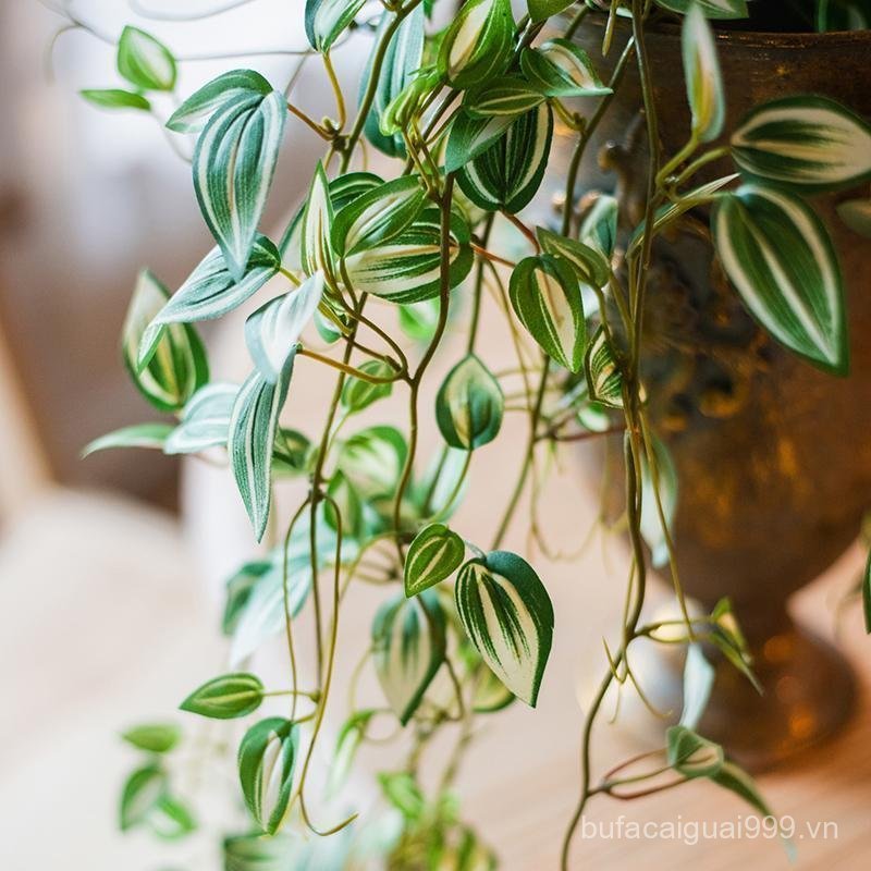 Juhan Tím Sương Lan Thổ Cẩm Phong Lan Cây Xanh Mô Phỏng Cây Treo Trang Trí Đồ Trang Trí Phòng Khách 