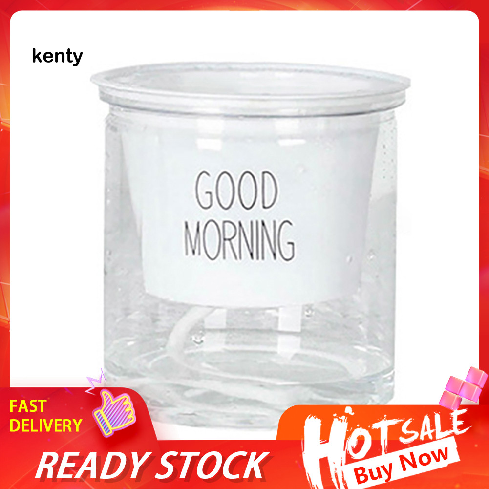 KT 2 Bộ Hai Tầng Thủy Canh Epipremnum Aureum Tự tưới Hoa Trang Trí Nhà