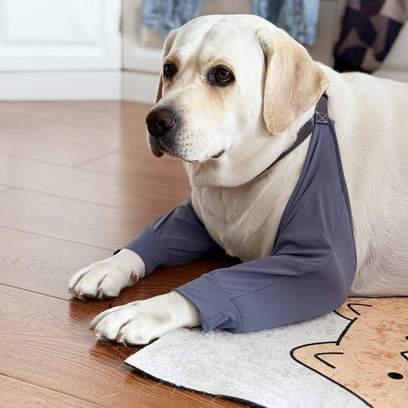 Large Dog Front Leg Protective Cover Summer Ice Silk Elbow Pad Sleeves Labrador Anti-Abrasion Home E