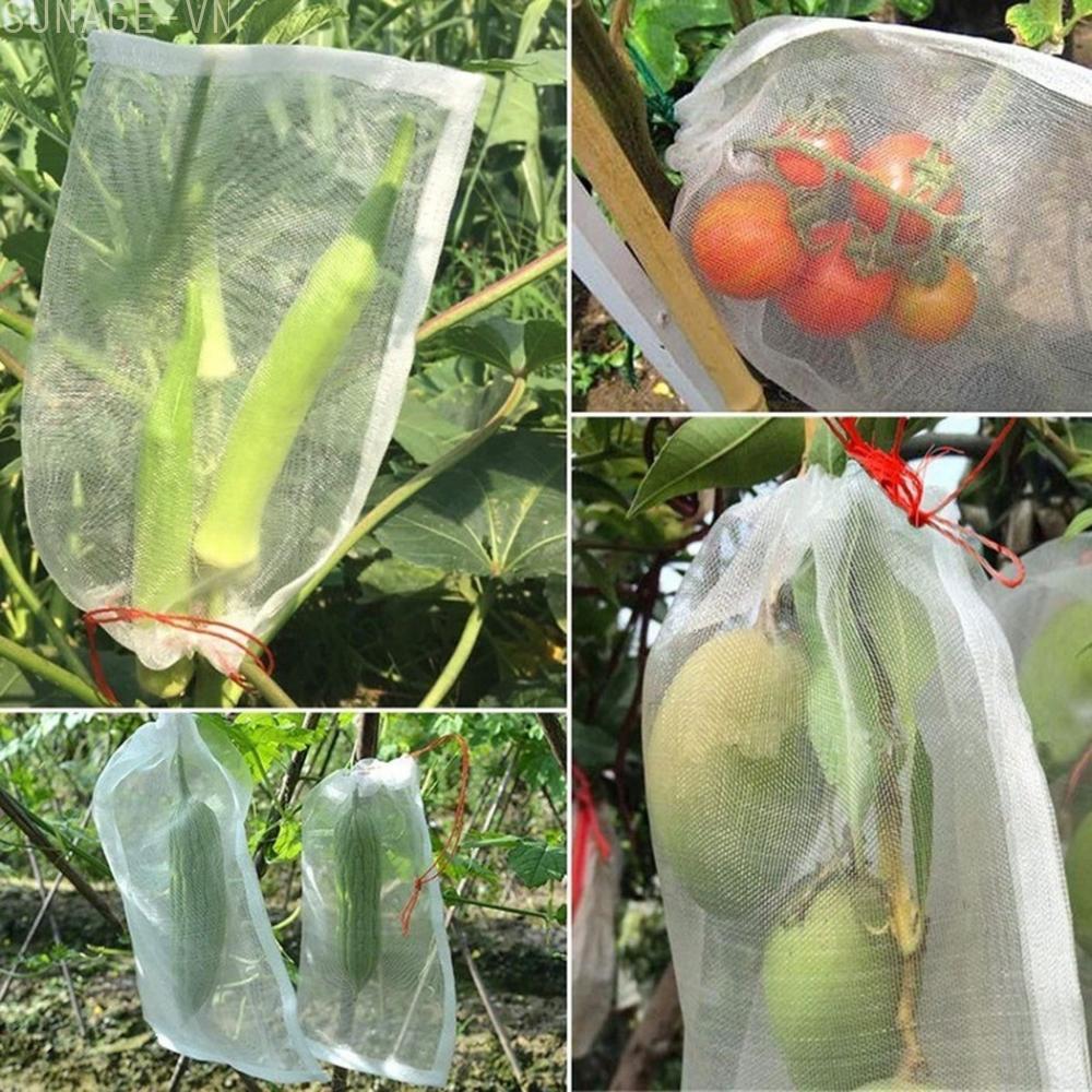 【SUNAGE】Fruit Protect Bag Nylon Net Bag Plant Care With Rope 1pcs Apple Protect【HOT Fashion】