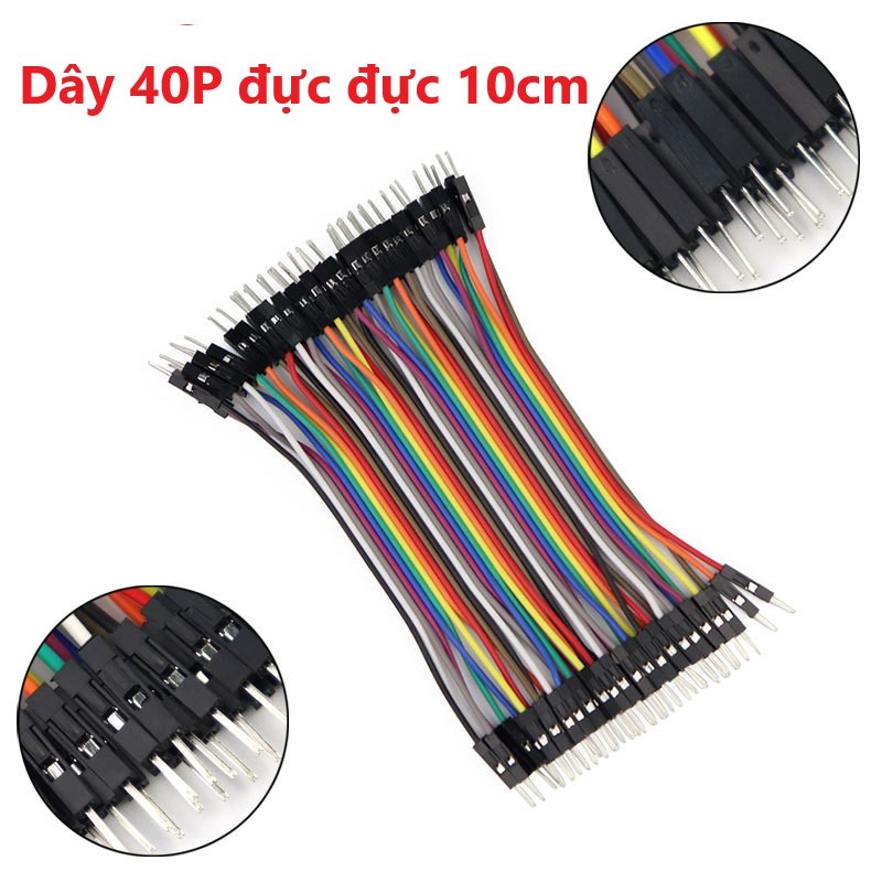 Tệp Dây 40P 10cm 3 loại đực cái, đực đực, cái cái