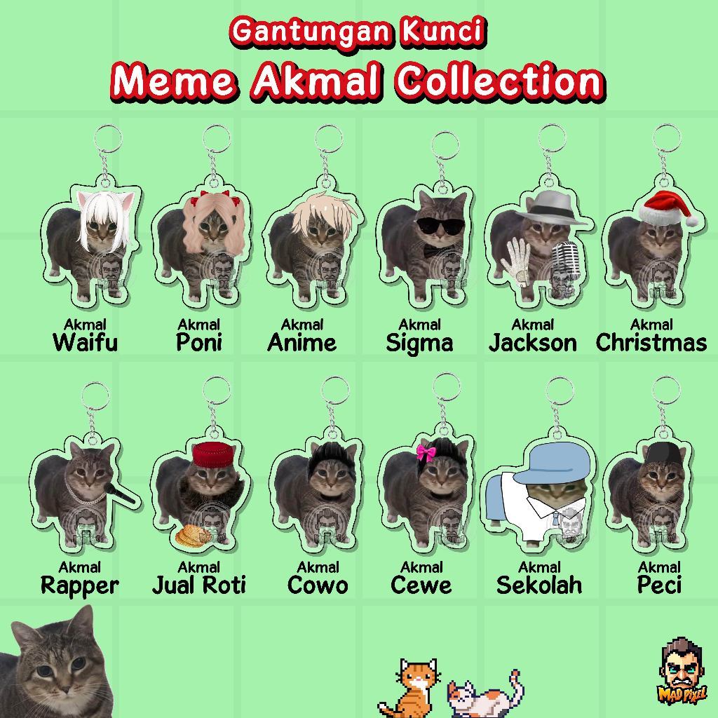 Gantungan Kunci Meme Kucing Akrilik / Acrylic KeyChain Lucu Cat Meme Akmal / Akmal Meme Collection K
