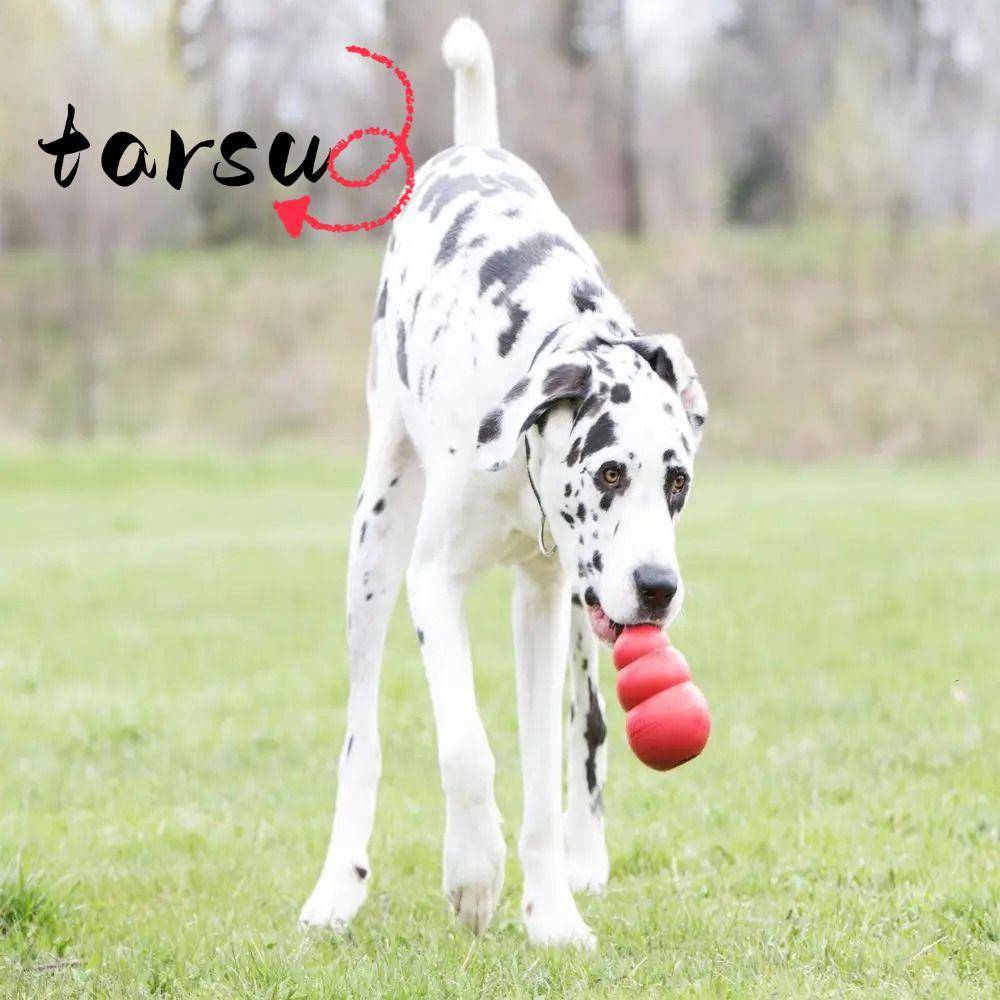 Đồ chơi cho chó TARSU Kong, Đồ chơi chó con cổ điển Erratic Bounce Kong, Nhiều kích cỡ Khả năng điều