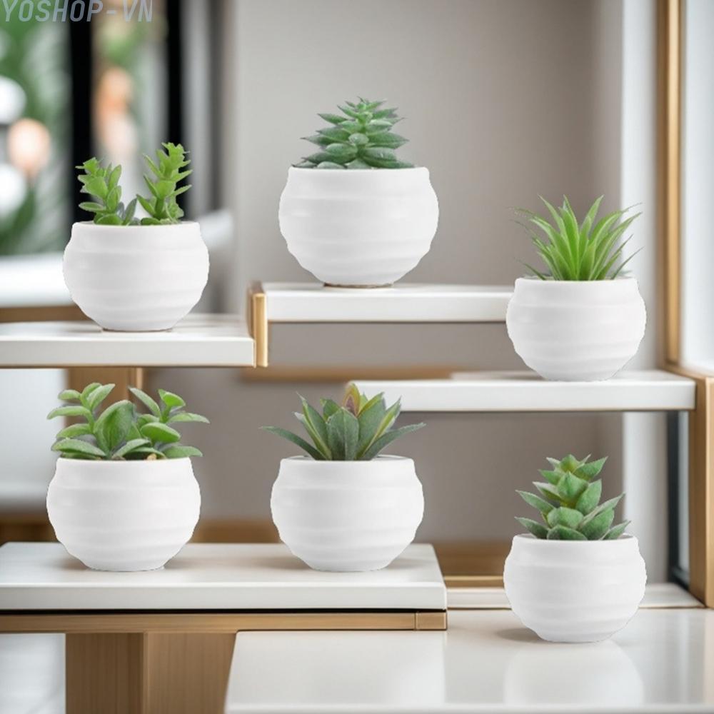 [Ysp]Artificial Succulent Plants Charming Greenery Lifelike Leaves No Maintenance