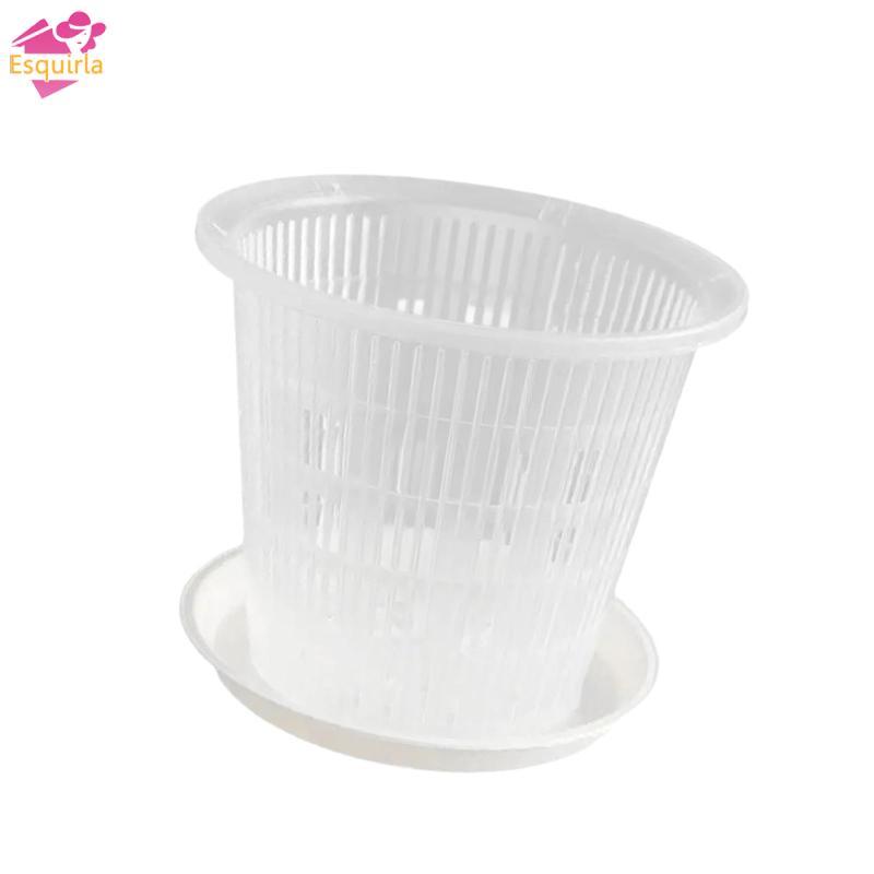 Phụ kiện phong lan Đĩa thoát nước nồi lưới trong suốt Bao gồm chậu cây Sử dụng bình hoa lan trong nh
