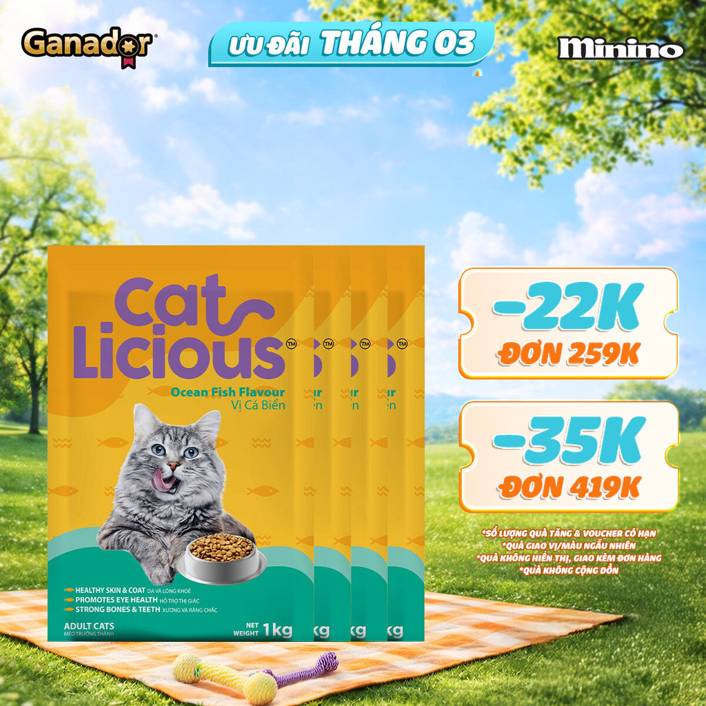 Combo 4 x Thức ăn hạt Catlicious cho mèo vị Cá biển túi 1kg