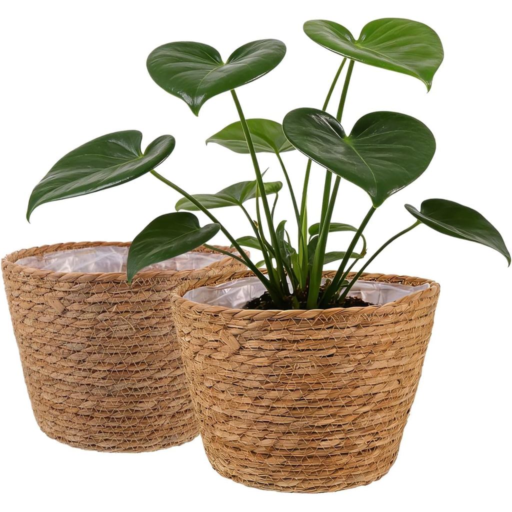 2 Giỏ đựng cây cỏ biển cho trong nhà và ngoài trời, Giỏ trồng cây bấc có lớp lót cho chậu 6 inch, Vỏ