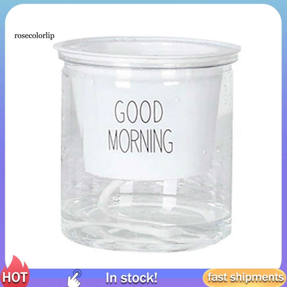 RR 2 Bộ Hai Tầng Thủy Canh Epipremnum Aureum Tự tưới Hoa Trang Trí Nhà