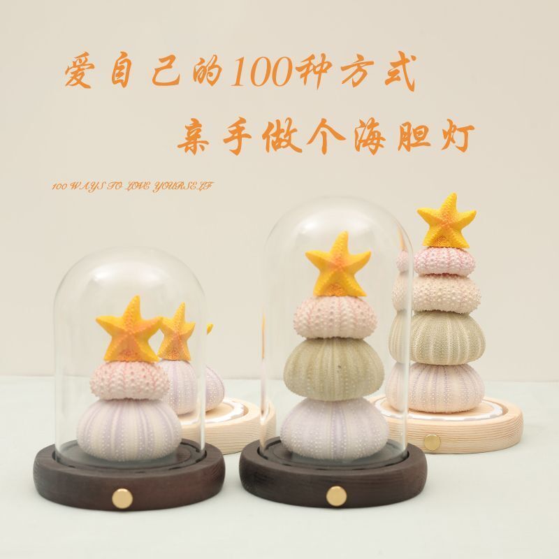 [Sản phẩm mới] Sea Urchin Shell Light Night Light Seaside Culture Creative Lettering Culture Creativ