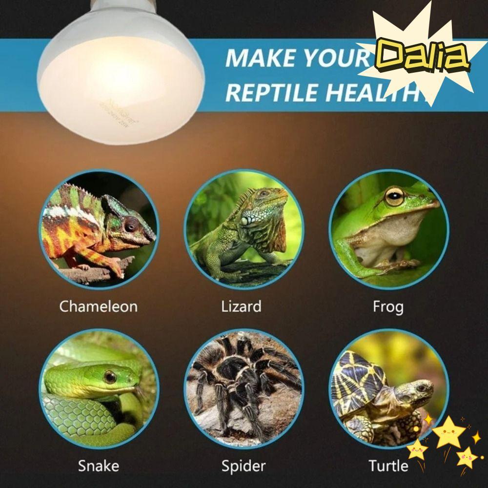 Bóng đèn sưởi ấm bò sát DALIA, Đèn sưởi ấm mô phỏng cho thú cưng Đèn sưởi ấm bò sát, Bóng đèn nhiệt 