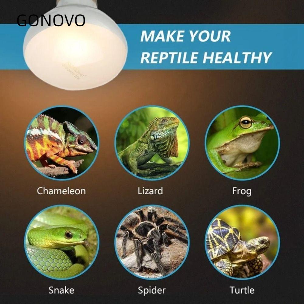Đèn nhiệt bò sát GONOVO, Bóng đèn sưởi ấm bò sát sưởi ấm cho thú cưng 220V, Bóng đèn sưởi mô phỏng B