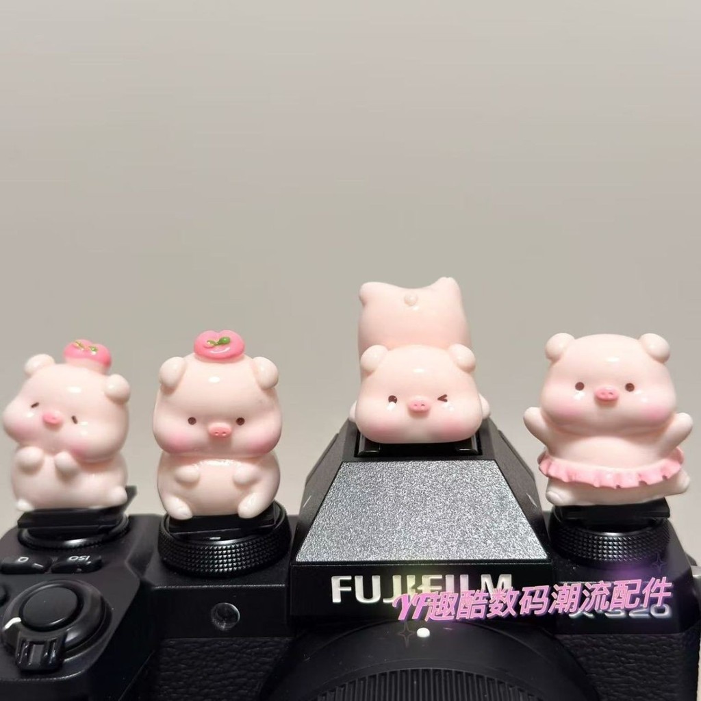 Pink Piggy Cartoon Hot Shoe Cover Thích hợp cho Canon Sony Nikon Fuji Polaroid DJ action5proL260324