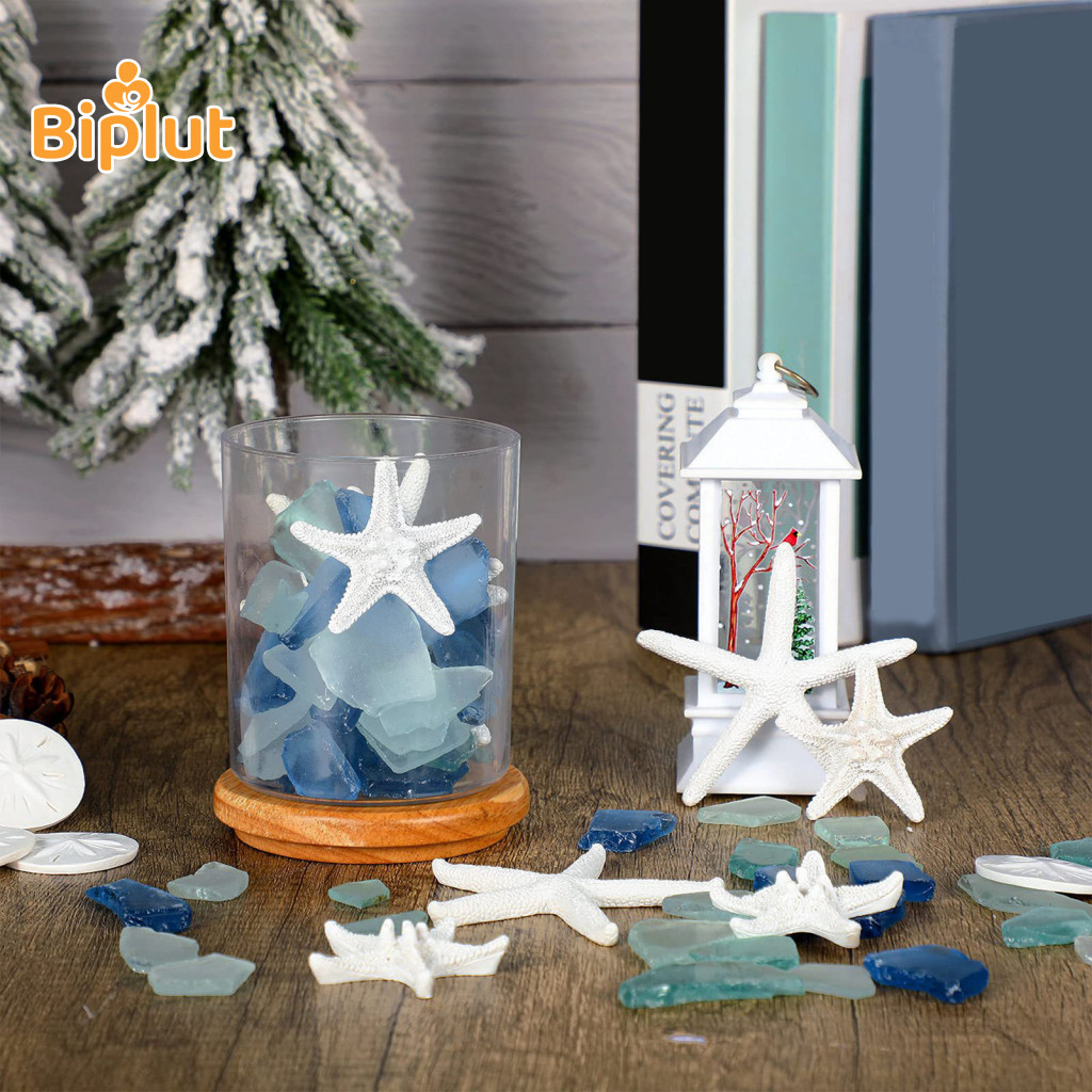 Biplut Nhựa Sao Biển Trang Trí Bộ Trang Trí Sao Biển Nhựa Sao Biển Cát Đô La Thủy Tinh Biển Theo Chủ