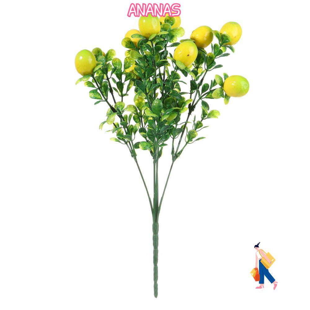 ANANAS Lemon Branch Farmhouse Garden Lemon Tree Cây cảnh cho trái cây gia đình