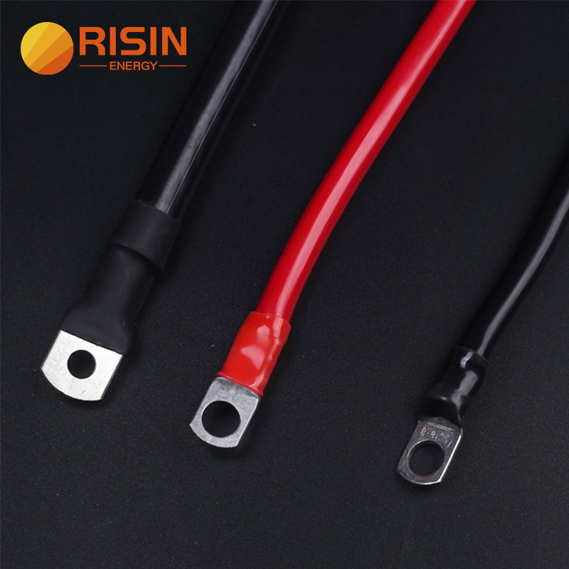 Risin Cao Cấp Dung Tích Mang Pin Kết Nối Cáp Sử Dụng Cho 12V 24V 100AH 150AH 200AH Pin Nhóm