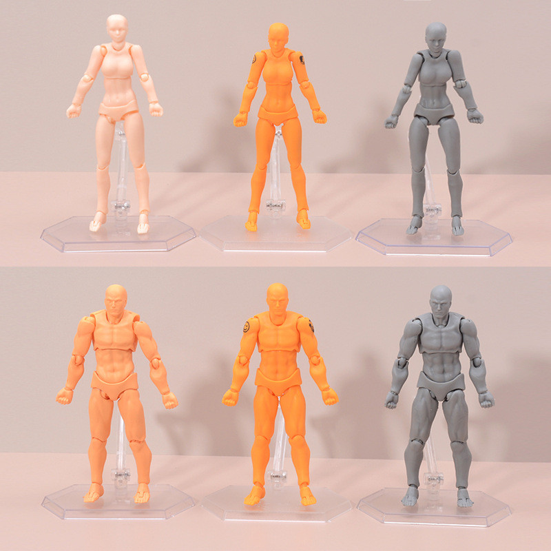 Figma Body 2.0 Tranh Đạo Cụ Nam Nữ Thanh Niên Phiên Bản Da Màu Di Động Hình Trang Trí TCSX