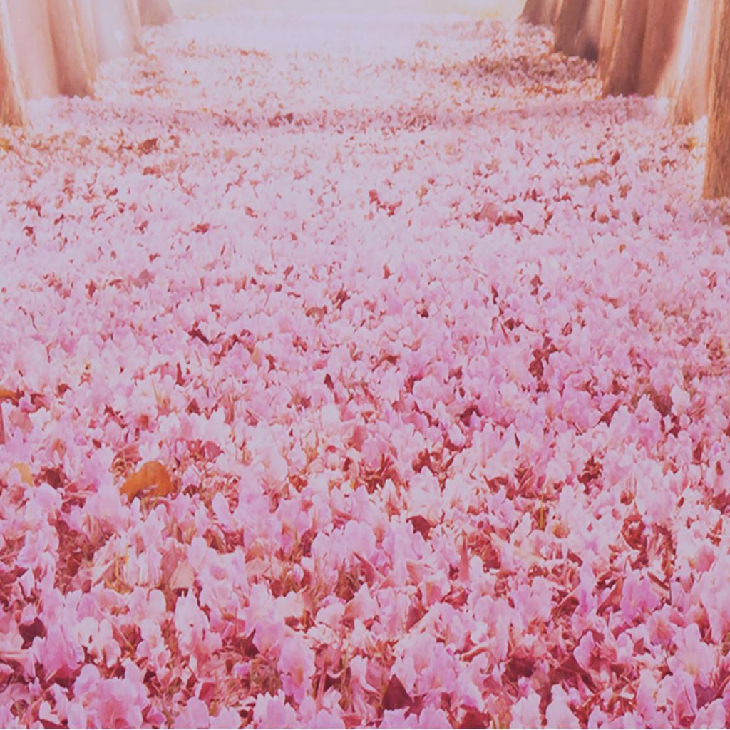 Shopp Andoer 1.5 x 3m / 4.9 9.8ft Video Studio Ảnh Phông Nền Kỹ Thuật Số In Màu Xanh Cổ Điển Tường S