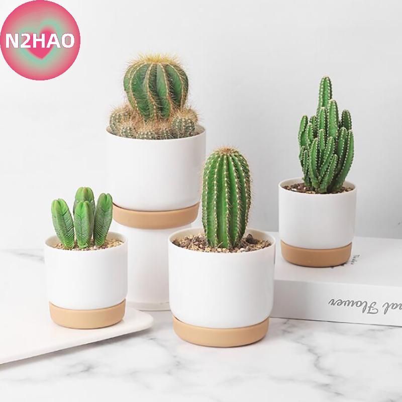 N2HAO Nồi Hai Lớp Hút Nước Xanh Nhỏ Chậu Hoa Xanh n