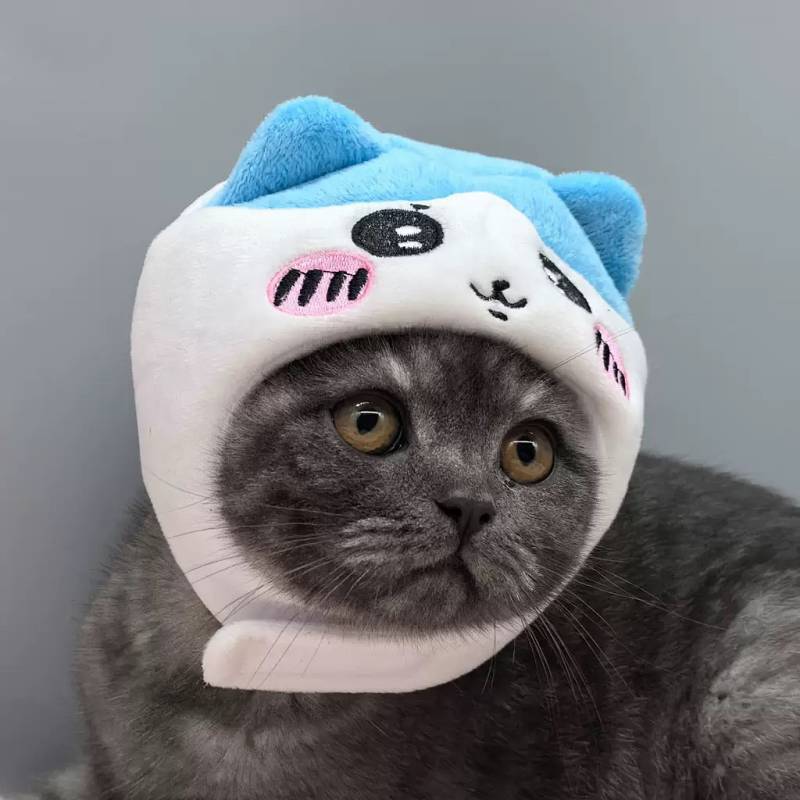 Giicawa Cat for Common Dogs Props Warm Pet Headgear Hat 6O5g