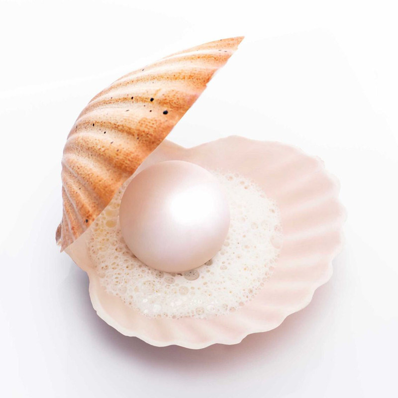 Vỏ Ngọc Trai Foie Gras 6 Vỏ Mousse Khuôn Silicon Scallop Yuanbei Pháp Mousse Bánh Tráng Miệng Nướng