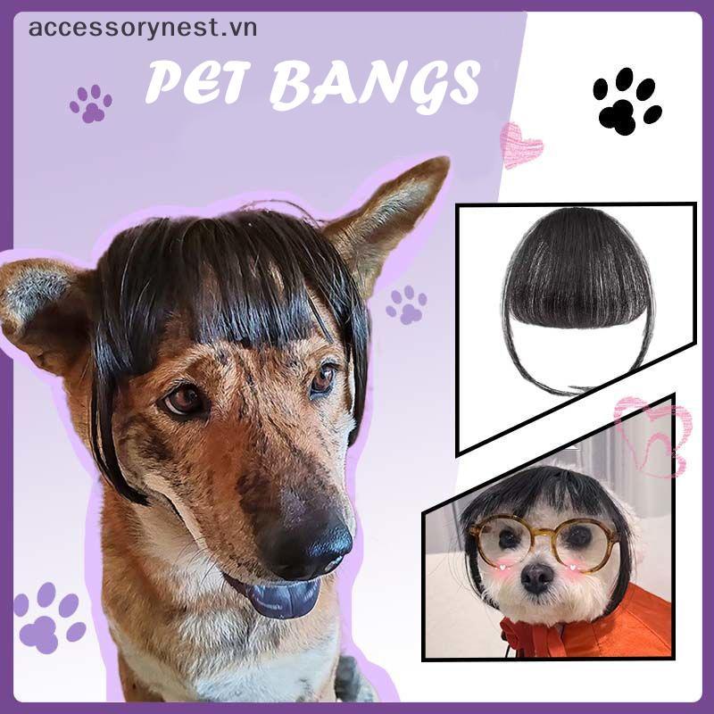 Không Ngộ nghĩnh Mèo Tóc Giả Trimmable Thú Cưng Tóc Giả Mèo Tóc Giả Cung Cấp Phụ Kiện Thú Cưng Sáng 