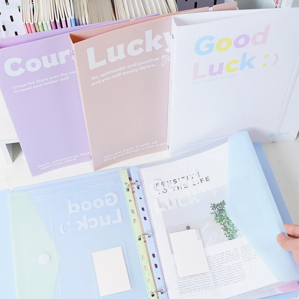 THEGIRL Loose Leaf File Folder, A4 INS Exam Paper Storage Bag, Back To School Transparent File Bag C
