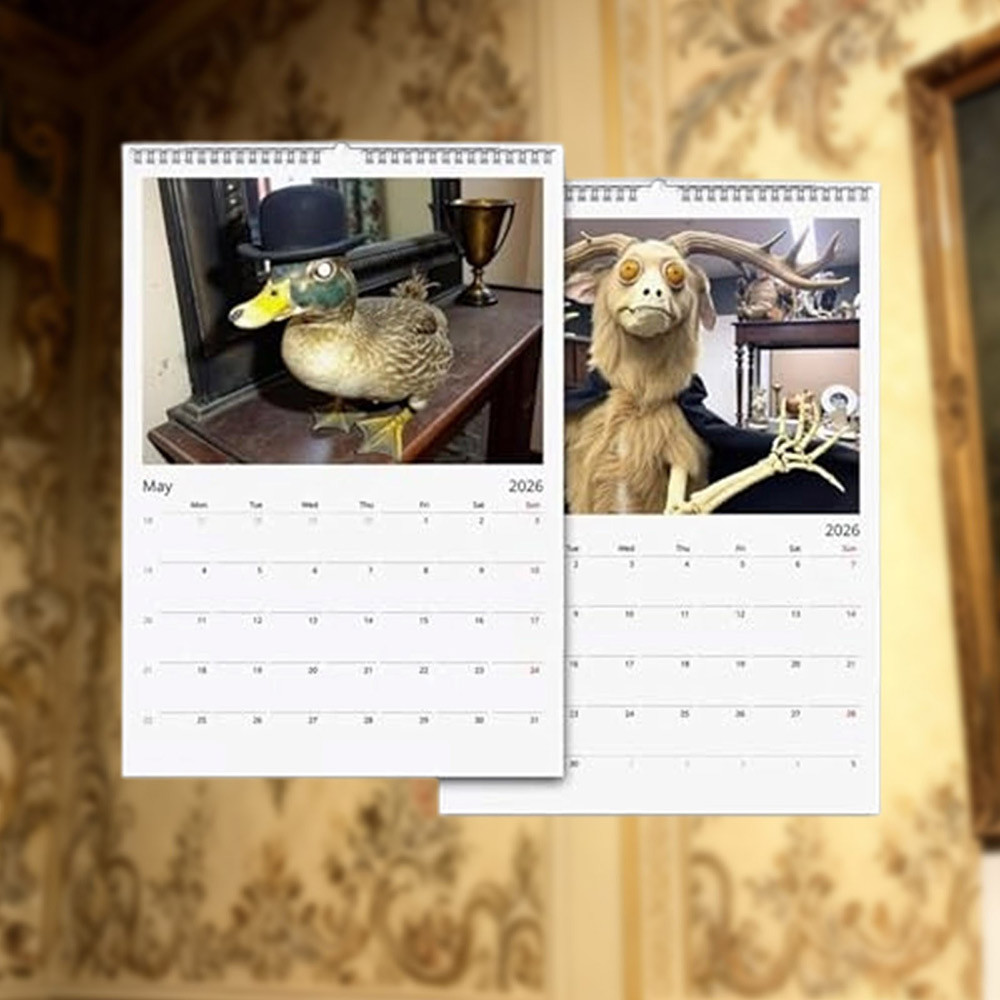 2026 Bad Taxidermy Wall Calendar Weird & Hilariously Awful Taxidermy Calendar