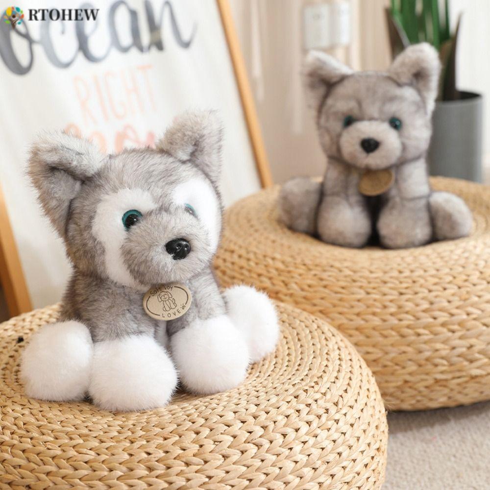Đồ chơi sang trọng cho chó ngồi RTOHEW, Búp bê sang trọng Fluffy Schnauzer Huksy, Đồ chơi Raccon Plu
