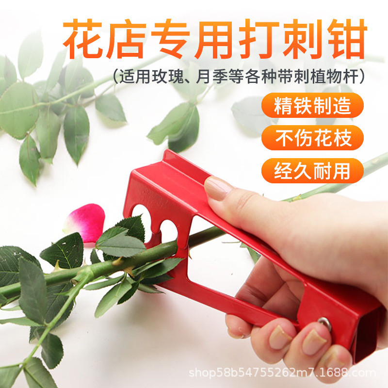 ❈ ❈ ❈ ❈ ❈ ❈ ❈ ❈ ❈ ❈ ❈ ❈ ❈ ❈ ❈ ❈ ❈ ❈ ❈ ❈ ❈ ❈ ❈ ❈ ❈ ❈ ❈ ❈ Kìm gai hoa Cửa hàng cung cấp gai sắt xianga