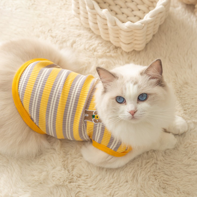 Mèo Áo Len Chuyên Dụng Mùa Xuân Thu Mỏng Phong Cách Mèo Con Mèo Con Chó Con Quần Áo Mèo Xanh Muppet 