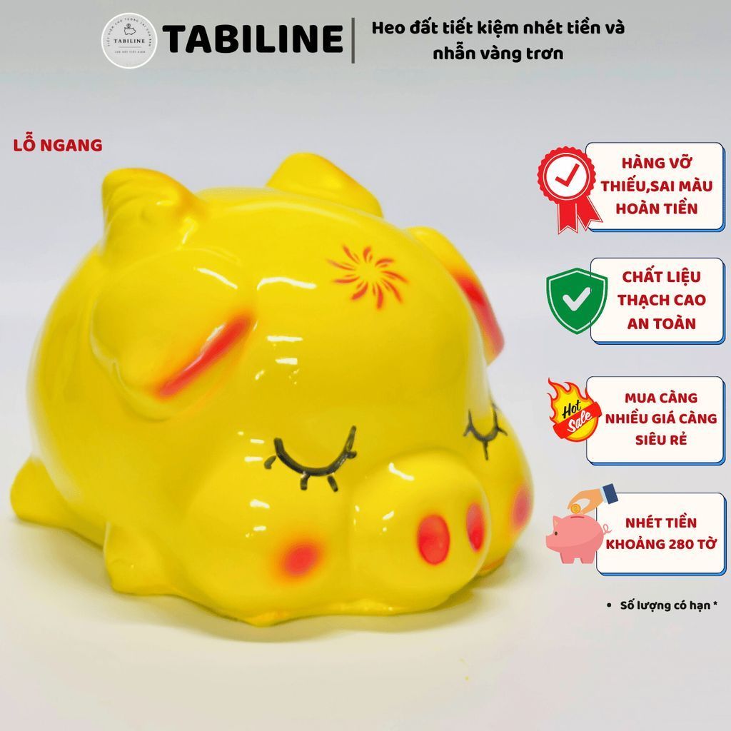 Heo đất ống tiết kiệm tiền lỗ ngang cánh tiên thiền thần cute đáng yêu LD50 - TABILINE