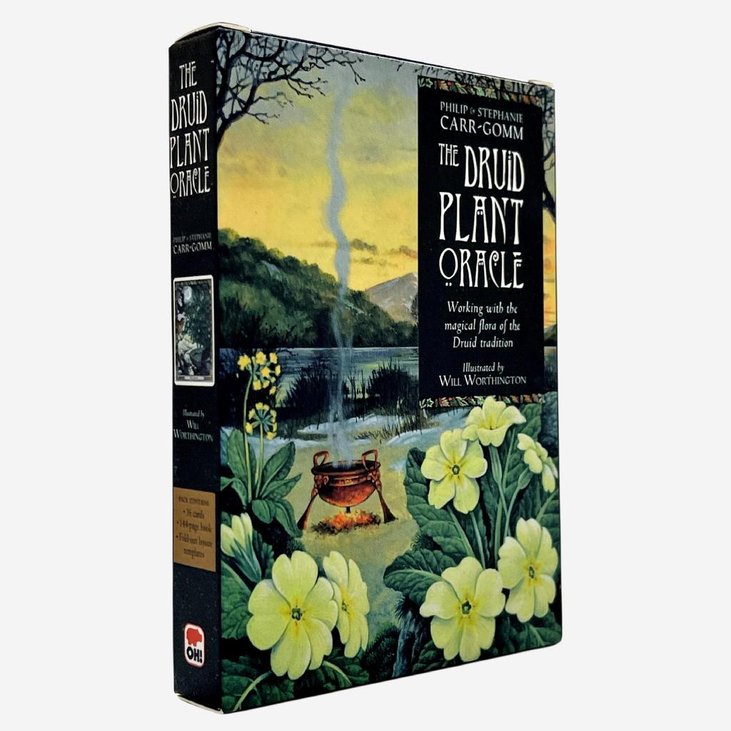 [Hàng có sẵn] 10.4 x 7.3cm Druid Plant Oracle Card Bảng tiếng Anh Trò chơi bài trò chơi Druid Plant 