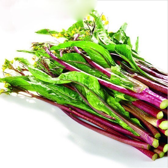 Hạt Giống Cải Ngồng Đỏ,  Cải Ngồng Tím (GÓI 500g) HÀNG NHẬP KHẨU  - h2t farm