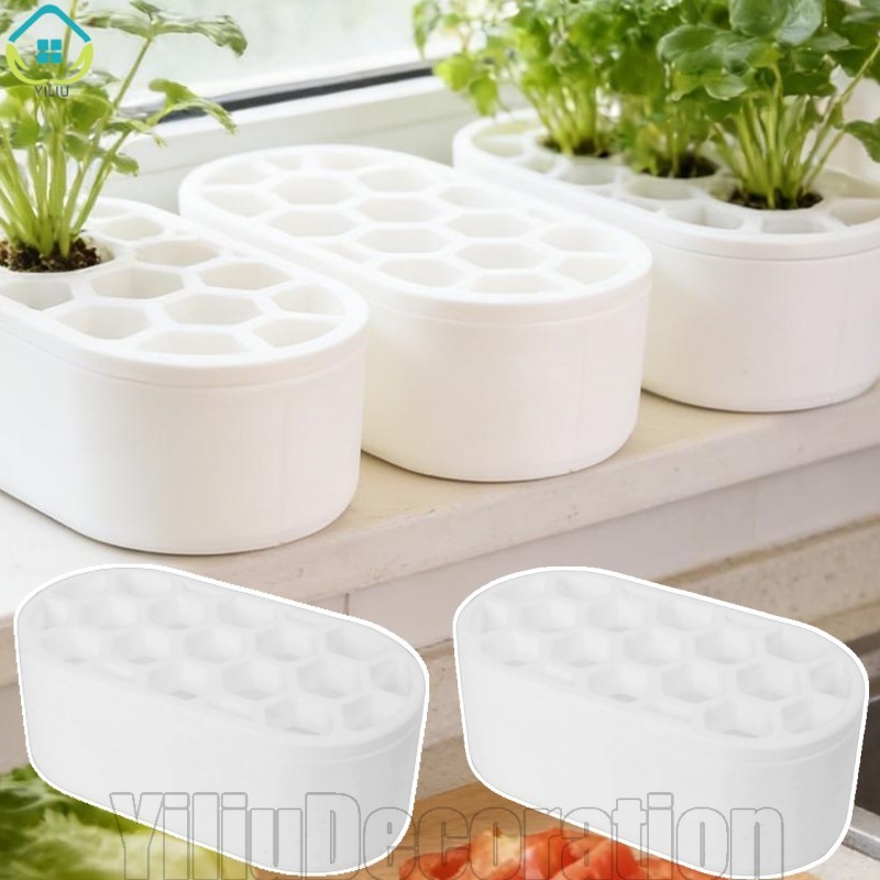 Khay tái tạo vỏ sò in 3D 4-1Pc - dành cho củ hành và rau củ xanh - Hộp thủy canh - Khay nảy mầm - Nồ